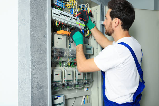 Best Local Electrician Companies  in Gaylord, MN