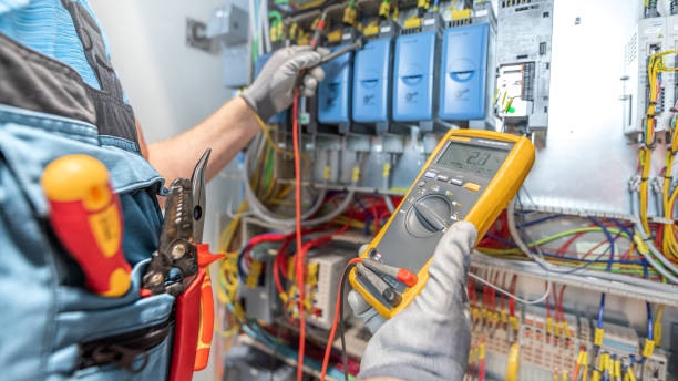 Best Electrical Repair Services  in Gaylord, MN